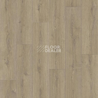 Линолеум Tarkett Praktika BRUNO_1 фото 1 | FLOORDEALER